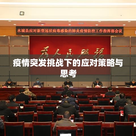 疫情突发挑战下的应对策略与思考