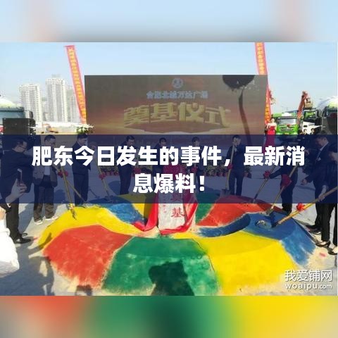 肥东今日发生的事件，最新消息爆料！