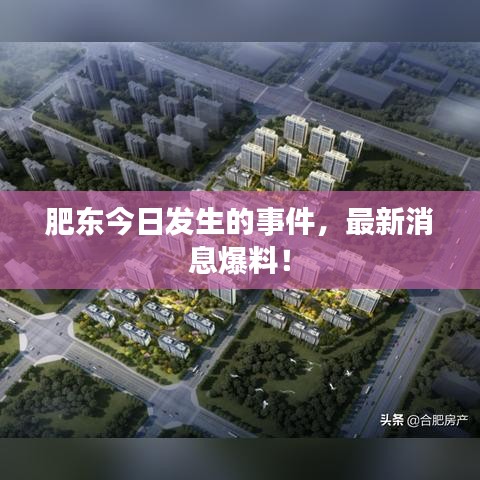 肥东今日发生的事件,最新消息爆料!
