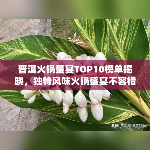 普洱火锅盛宴TOP10榜单揭晓，独特风味火锅盛宴不容错过