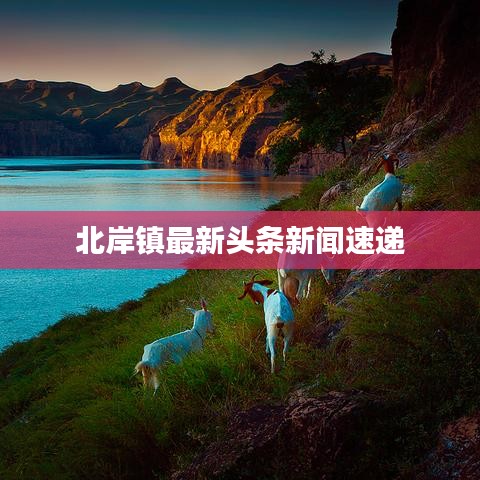 北岸镇最新头条新闻速递