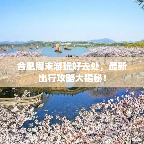 合肥周末游玩好去处,最新出行攻略大揭秘!