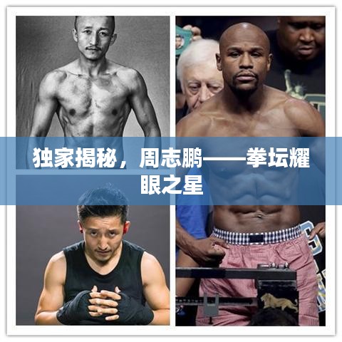 独家揭秘,周志鹏——拳坛耀眼之星