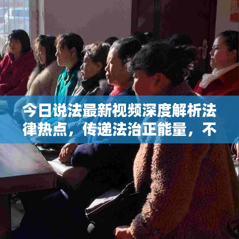 穷鸟入怀 第5页