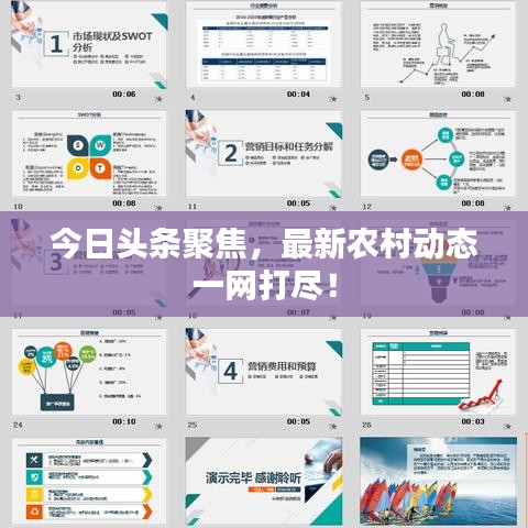 今日头条聚焦，最新农村动态一网打尽！