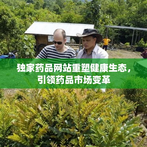 独家药品网站重塑健康生态,引领药品市场变革
