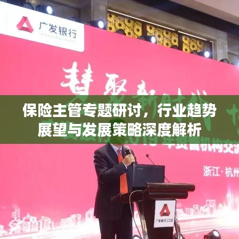保险主管专题研讨，行业趋势展望与发展策略深度解析
