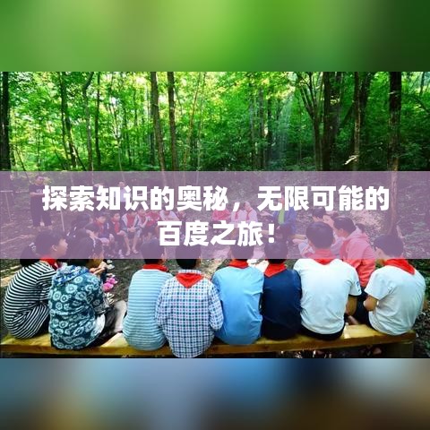 探索知识的奥秘，无限可能的百度之旅！