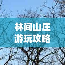 林间山庄游玩攻略路线全解析（最新资讯）