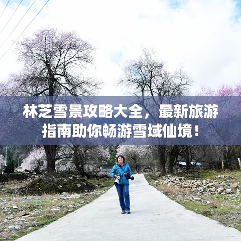 林芝雪景攻略大全，最新旅游指南助你畅游雪域仙境！