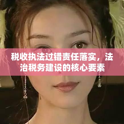 税收执法过错责任落实，法治税务建设的核心要素