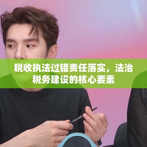 税收执法过错责任落实,法治税务建设的核心要素