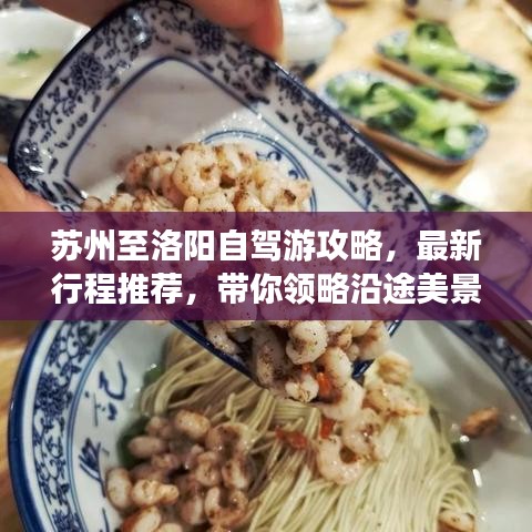 糖果派对破解单机版或医疗app官方下载,适用解析方案_1440p1_v9.554