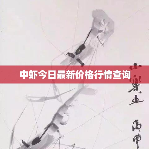 中虾今日最新价格行情查询