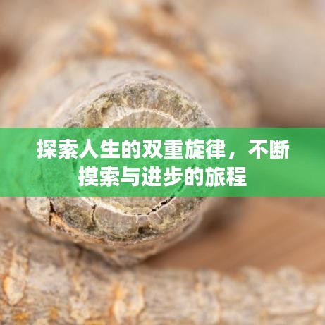 探索人生的双重旋律,不断摸索与进步的旅程