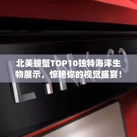 北美螃蟹TOP10独特海洋生物展示，惊艳你的视觉盛宴！