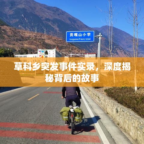 草科乡突发事件实录,深度揭秘背后的故事