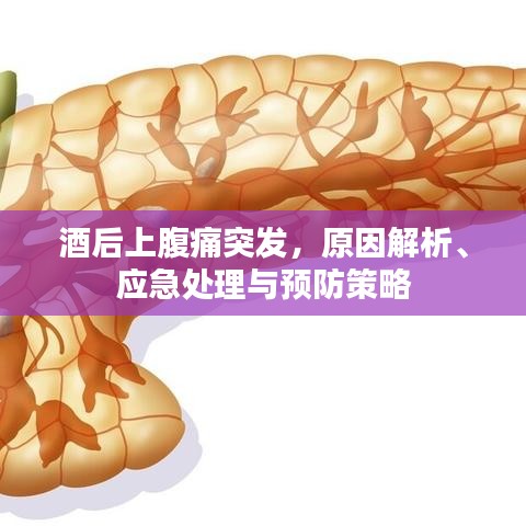 酒后上腹痛突发，原因解析、应急处理与预防策略