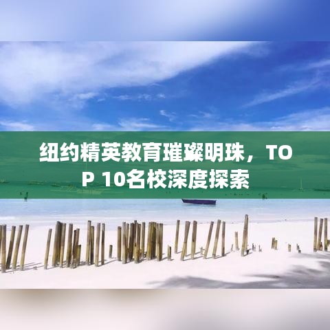 纽约精英教育璀璨明珠，TOP 10名校深度探索