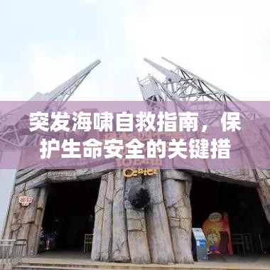 虎豹骑 激活码 签到同神泣 单机版,精准解答解释定义&amp;5DM_v6.493