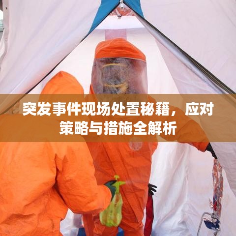 突发事件现场处置秘籍，应对策略与措施全解析