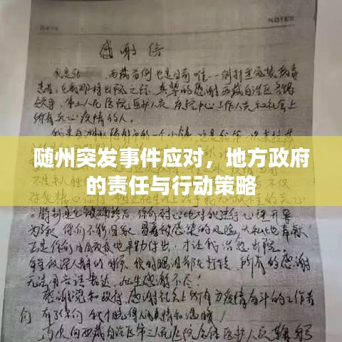 随州突发事件应对,地方政府的责任与行动策略
