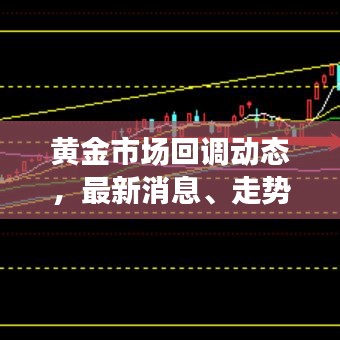 黄金市场回调动态,最新消息、走势分析与预测