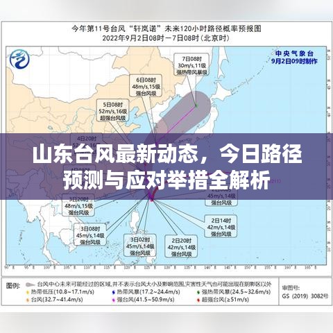 山东台风最新动态，今日路径预测与应对举措全解析