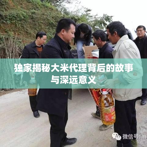 独家揭秘大米代理背后的故事与深远意义