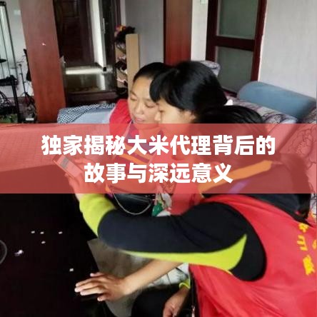 独家揭秘大米代理背后的故事与深远意义
