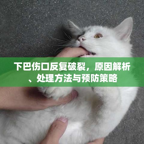 下巴伤口反复破裂，原因解析、处理方法与预防策略