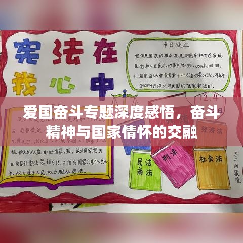 爱国奋斗专题深度感悟，奋斗精神与国家情怀的交融