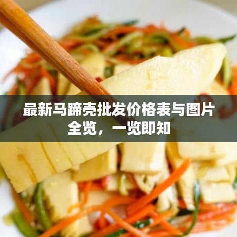 最新马蹄壳批发价格表与图片全览，一览即知