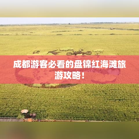 成都游客必看的盘锦红海滩旅游攻略！