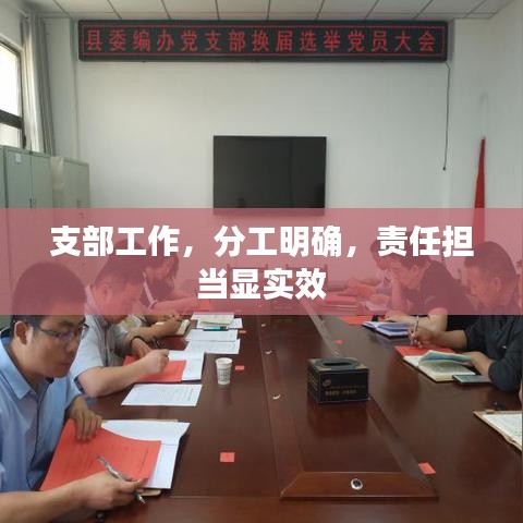 支部工作，分工明确，责任担当显实效