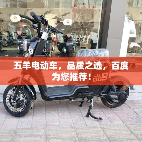五羊电动车，品质之选，百度为您推荐！