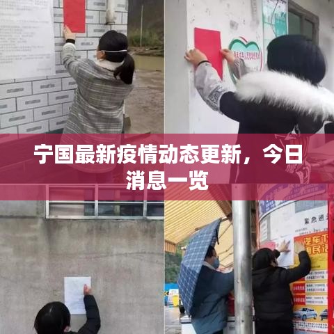 宁国最新疫情动态更新，今日消息一览