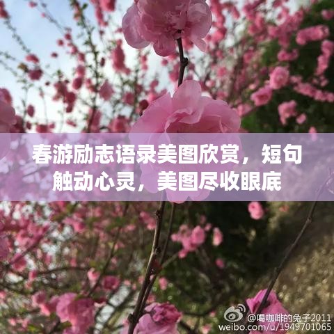 春游励志语录美图欣赏,短句触动心灵,美图尽收眼底