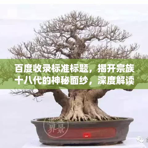 百度收录标准标题,揭开宗族十八代的神秘面纱,深度解读家族文化之底蕴