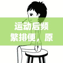 运动后频繁排便，原因解析、影响及健康管理策略