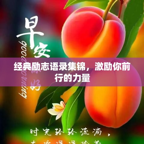 尽善尽美 第6页