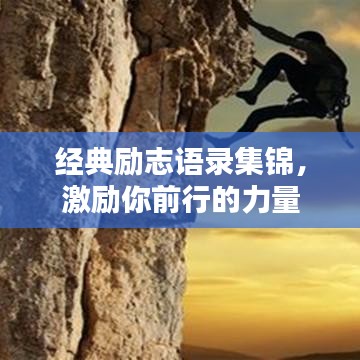 经典励志语录集锦,激励你前行的力量