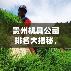 贵州机具公司排名大揭秘,哪家公司独占鳌头?