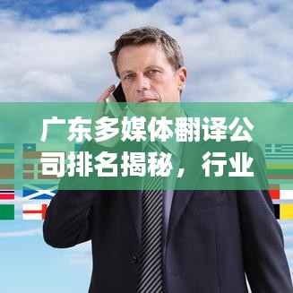广东多媒体翻译公司排名揭秘，行业洞察与深度分析
