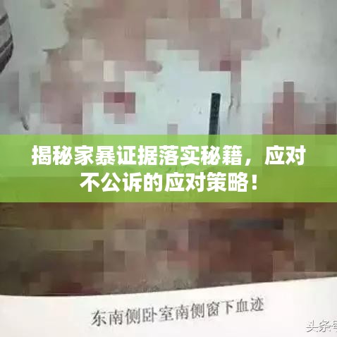 揭秘家暴证据落实秘籍,应对不公诉的应对策略!