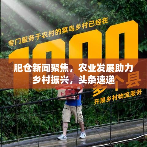 肥仓新闻聚焦，农业发展助力乡村振兴，头条速递