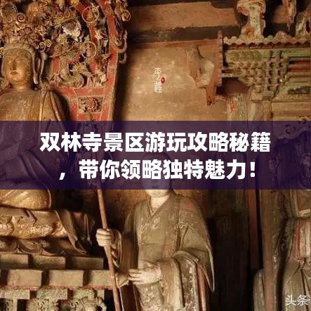 双林寺景区游玩攻略秘籍,带你领略独特魅力!