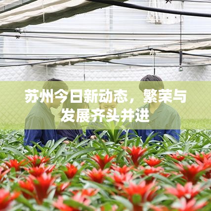 苏州今日新动态,繁荣与发展齐头并进