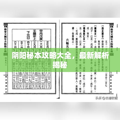 阴阳秘本攻略大全，最新解析揭秘