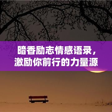 暗香励志情感语录，激励你前行的力量源泉
